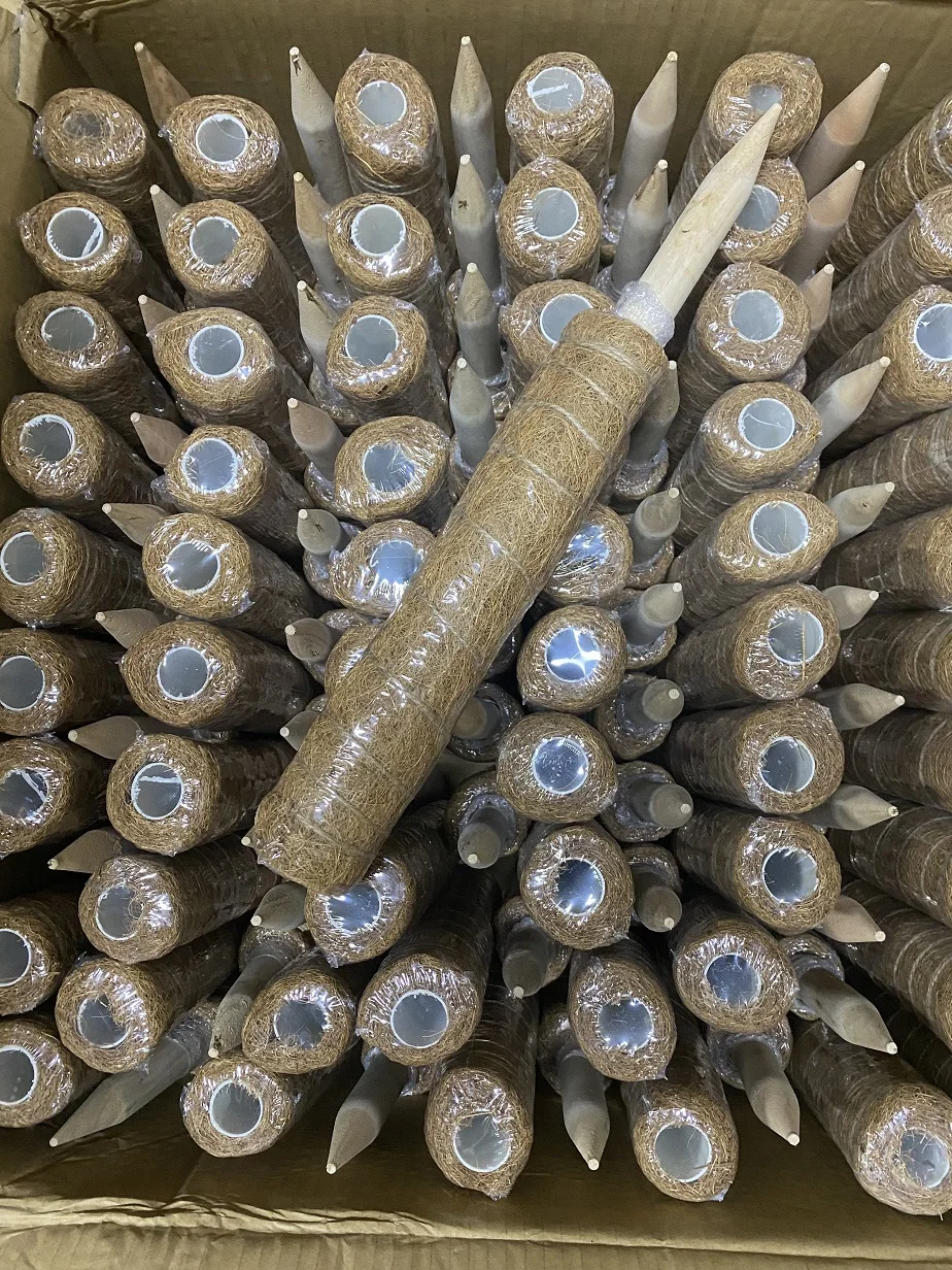 2 Pali Di Supporto Per Piante In Fibra Di Cocco: Totem Per Piante Rampicanti, 30 Cm, Con Asta In Legno