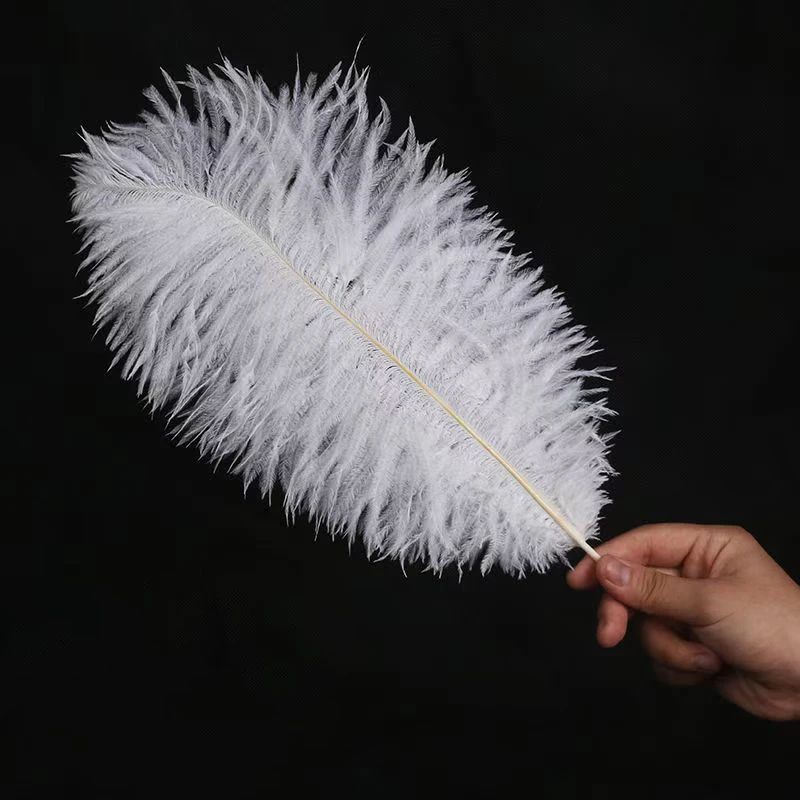 Multi-color Ostrich Large Feather for Wedding Decoration South Africa Bird Real  Art Carnival Costume