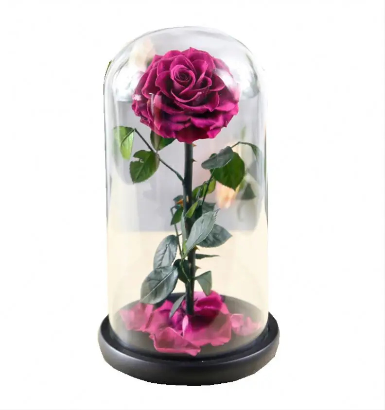 Großhandel Die Große Prinz Würde Lila Rose Konservierte Blume In Glas Dome  Von Yunnan - Buy Rosa Eterna Con Vidrio Erhalten Lila Rose Große Prince Für  Hochzeit Weihnachten Home Dekoration Product on