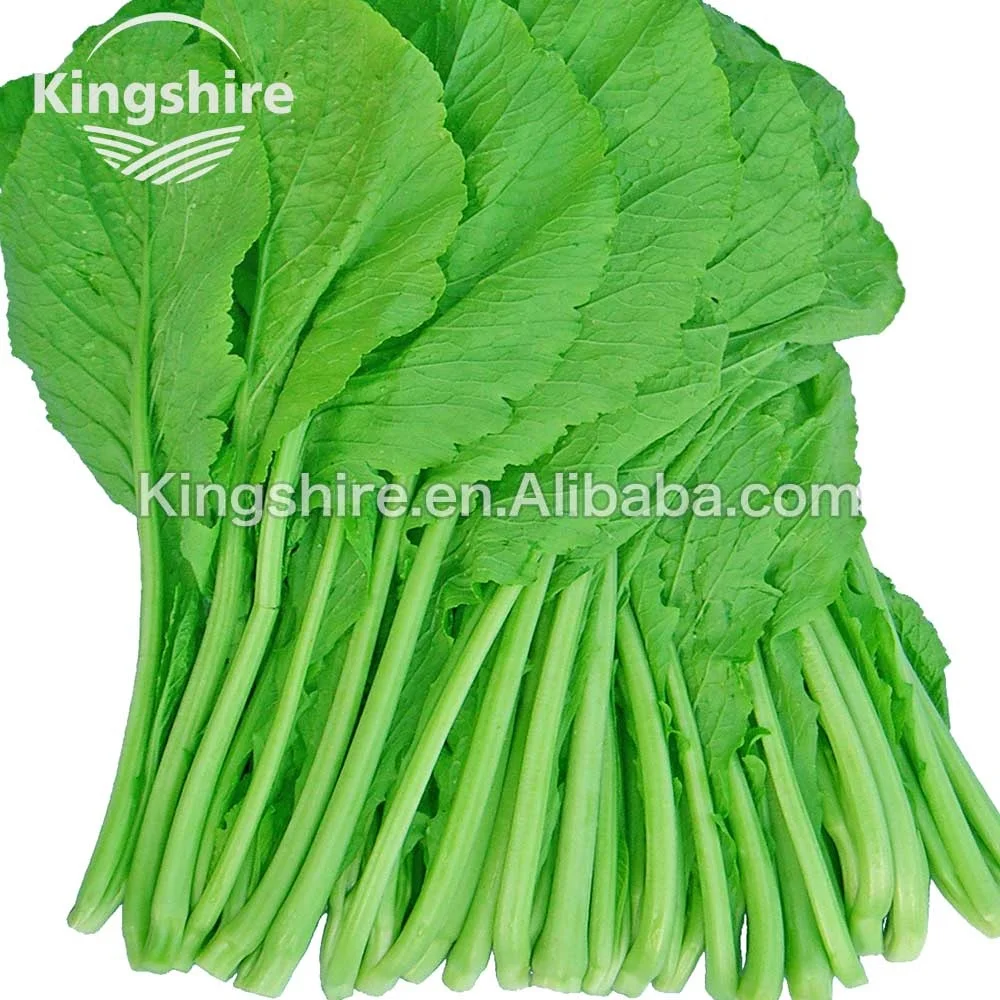 キングシャースプリングチョイリーフマスタードグリーンシード Buy マスタードシード 街はチョイ オリエンタル野菜種子 Product On Alibaba Com