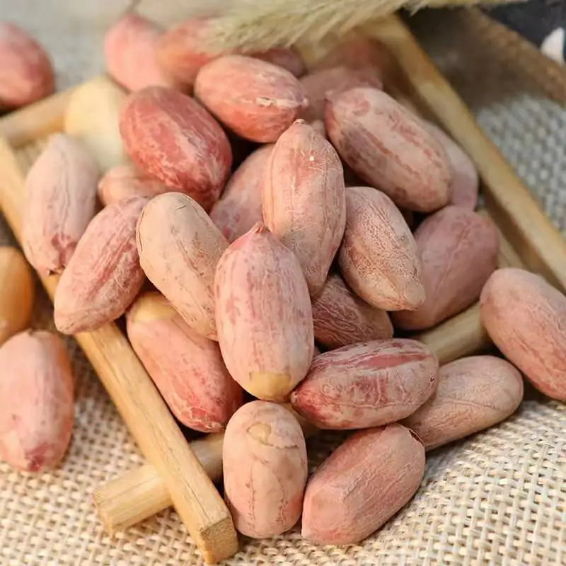Promotional Various Good Quality in Shell Peanut Bulk Peanuts in Shell Chinese Cheapest Peanut in Shell