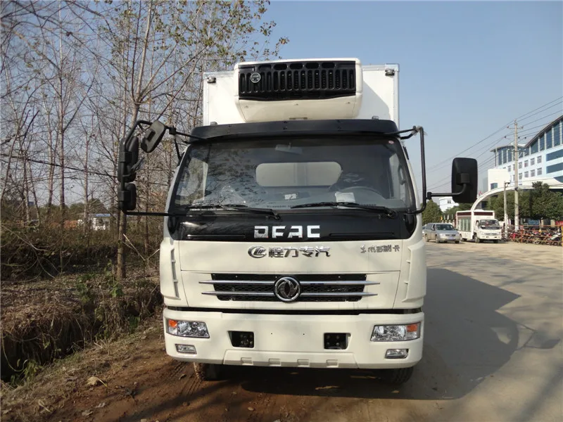 Frozen Meat Chicken Medicine 58 Cubic Meters DC24V/12V Engine Power