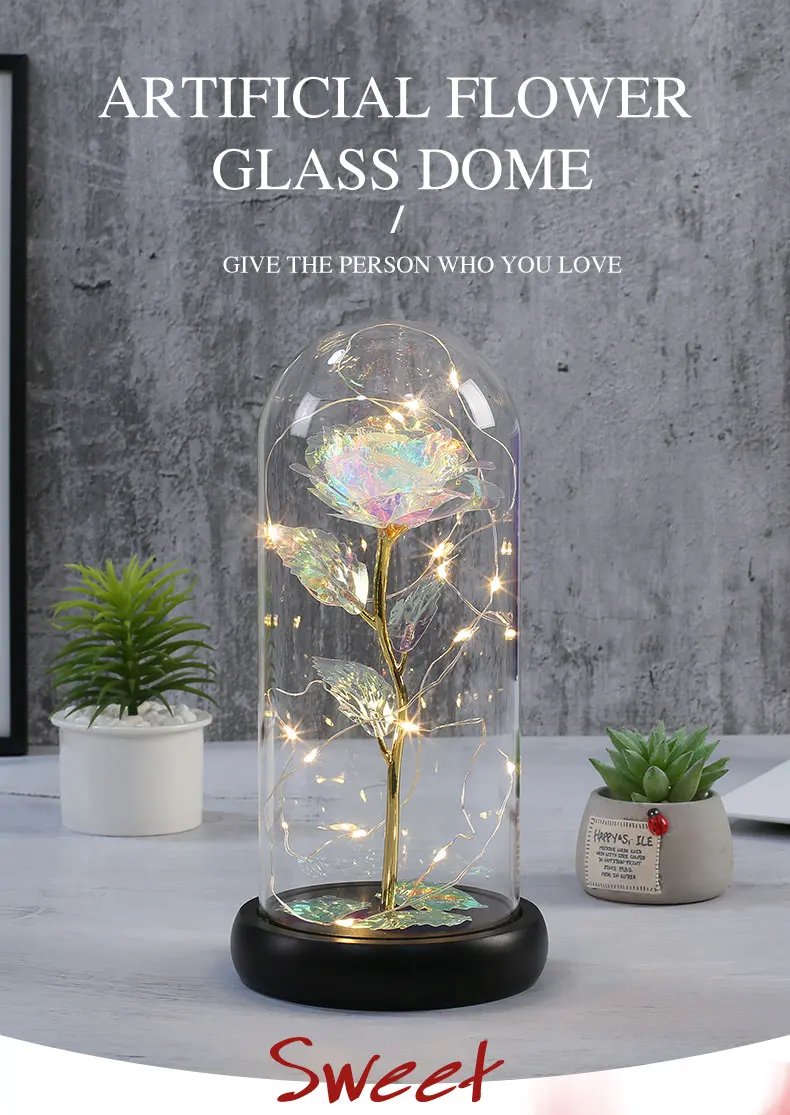 Rose flower in glass dome with base wooden and string lights manufacture