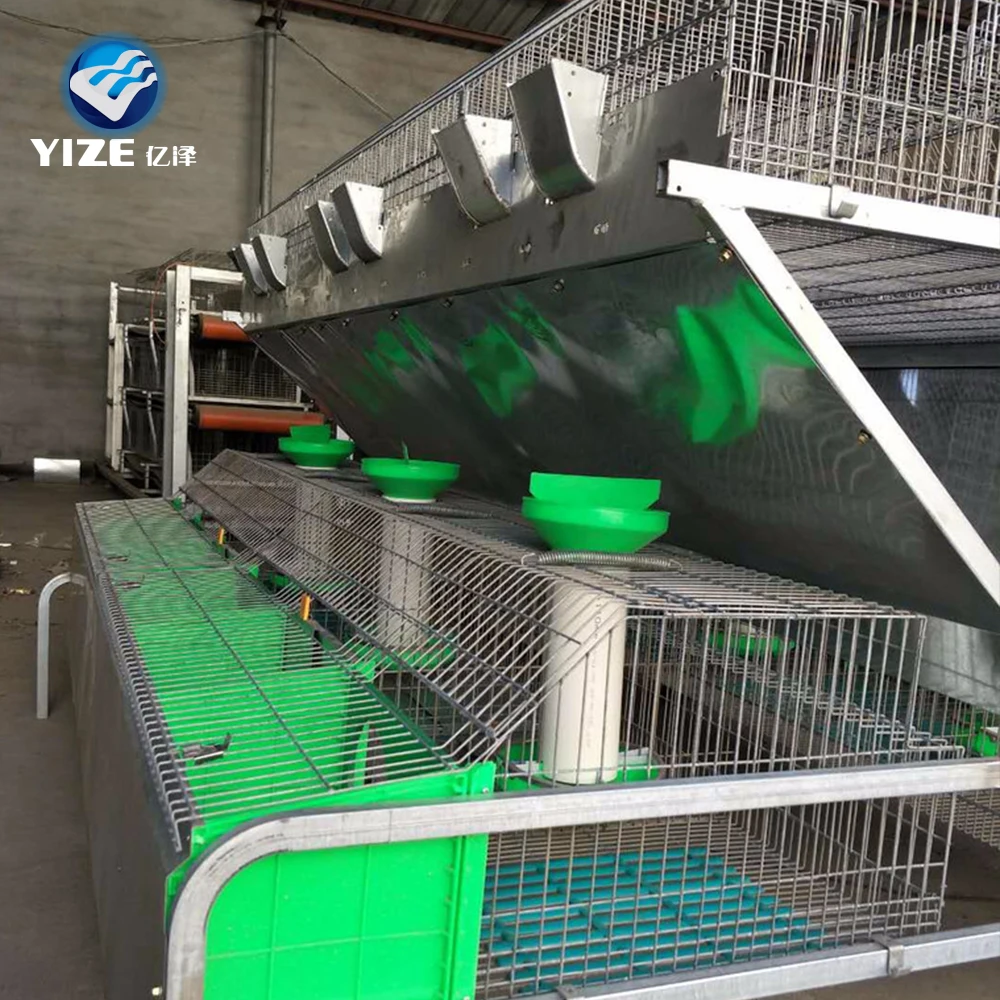 Automatic Manure Cleaning Rabbit Cage With High Quality Accessories