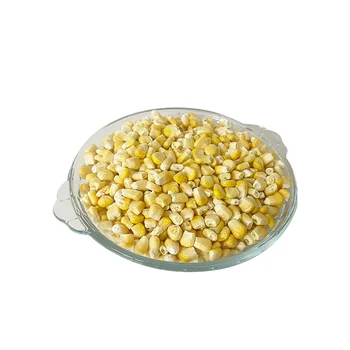 Bulk Packaging High Quality Dehydrated Vegetable Factory Direct Freeze Dried Corn Kernel For Band Manufacturer