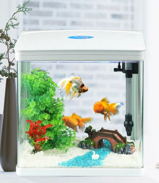 Mini Fish Tank Small Glass Desktop Aquarium Kit for Starter with Tank and LED Light and Filter and Pump