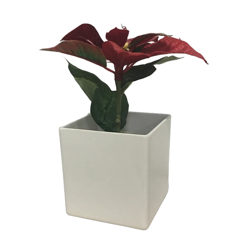 lighted plant terrarium LED Lighting For Terrarium Plants | Terrarium LED Grow Lights