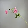 Rosa oscuro
