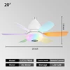 Colorful-20icnh