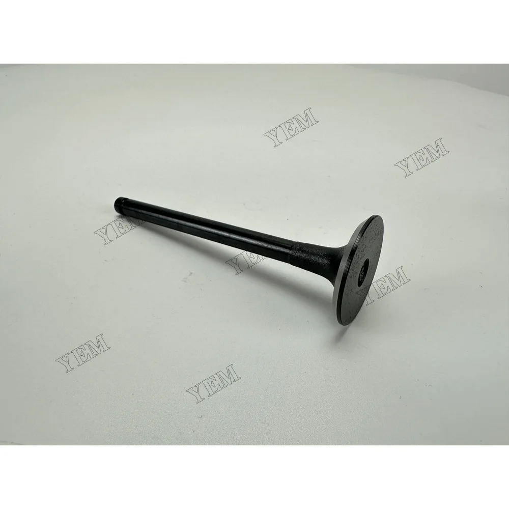 Intake Valve for Isuzu 3KC2 Engine Parts 6