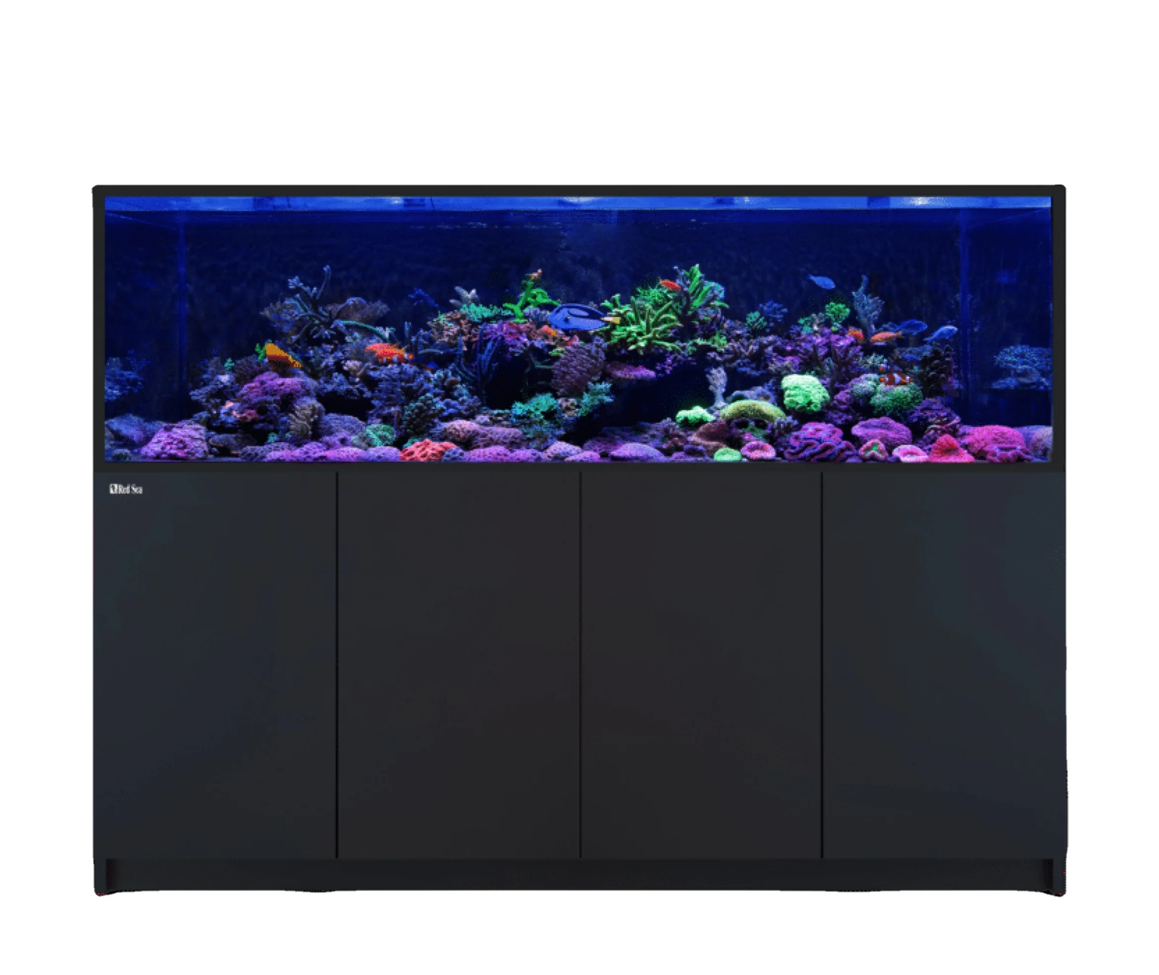 RedSea Israel Professional Reef Fish Tank Saltwater Sea Tank with SPS Corals Made of Glass Plastic Includes Aquarium Accessories