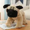 Pekingese _ 32*12*18cm