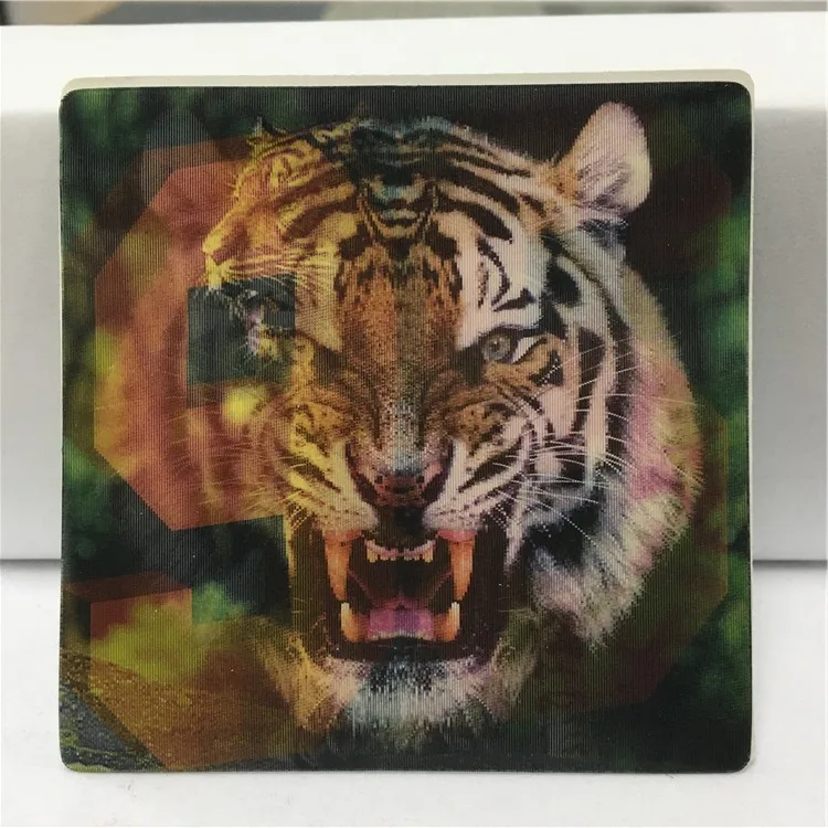 Bengal Tiger roaring - 3D Lenticular Postcard Greeting Card - NEW