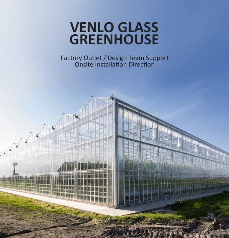 Automated Plant Hydroponics Greenhouse Glass Wall Automation System Glass Greenhouse For Tomato