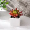CF02250 Rojo