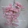 Firework leaves
