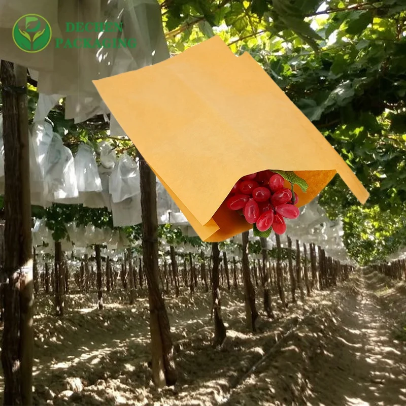 Custard Apple Guava Grape Protective Paper Bags Mango Fruit Packaging Covers Agriculture Wax Coated