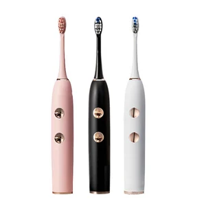 BEIGIER SONIC DISTRIBUTOR TOOTHBRUSH Toothbrushes with Names Electric Toothbrush