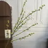 ผลไม้สำหรับคนรัก - สีเขียวอ่อน