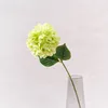 Une branche vert clair