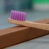 Púrpura
