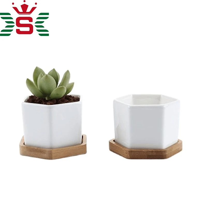 竹トレイ付きホワイトセラミックドロマイトサボテン植木鉢 Buy サボテン植物ポット ホワイトセラミック鍋 竹ポット Product On Alibaba Com