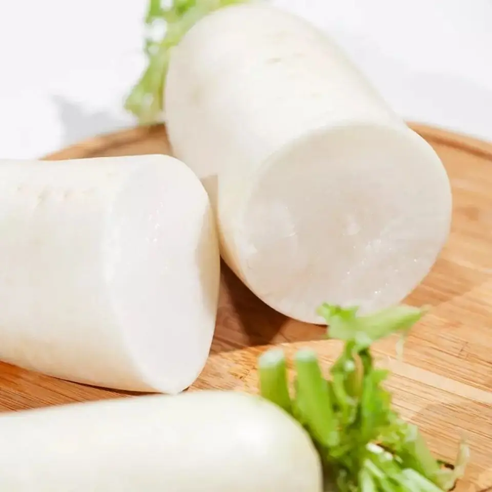 professional manufacturer fresh white radish seasonal vegetables