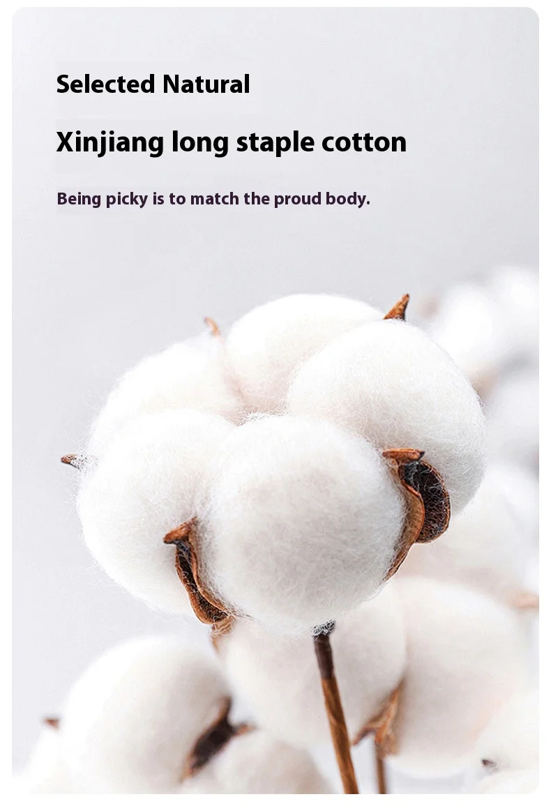 New Arrival Men's Underwear Breathable  Antibacterial Cotton Men's Briefs Cotton Men's Underpants Custom OEM Supplier