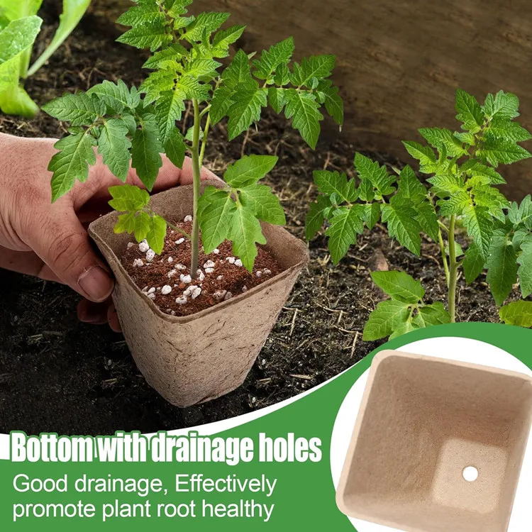 Biodegradable Nursery Pots With Humidity Dome Square Seeding Starter Peat Pots for Seedlings Garden Vegetable Flower Germination