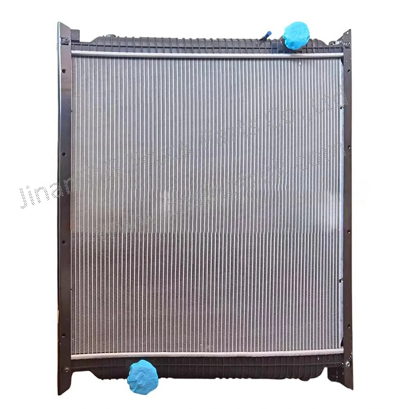 RRRさん　専用 Sinotruck Howo Truck Engine Parts - Radiator WG9725530267