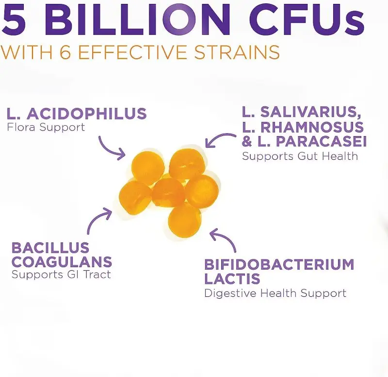 Private Label Lactobacillus Probiotics Gummy Support Immune & Digestive