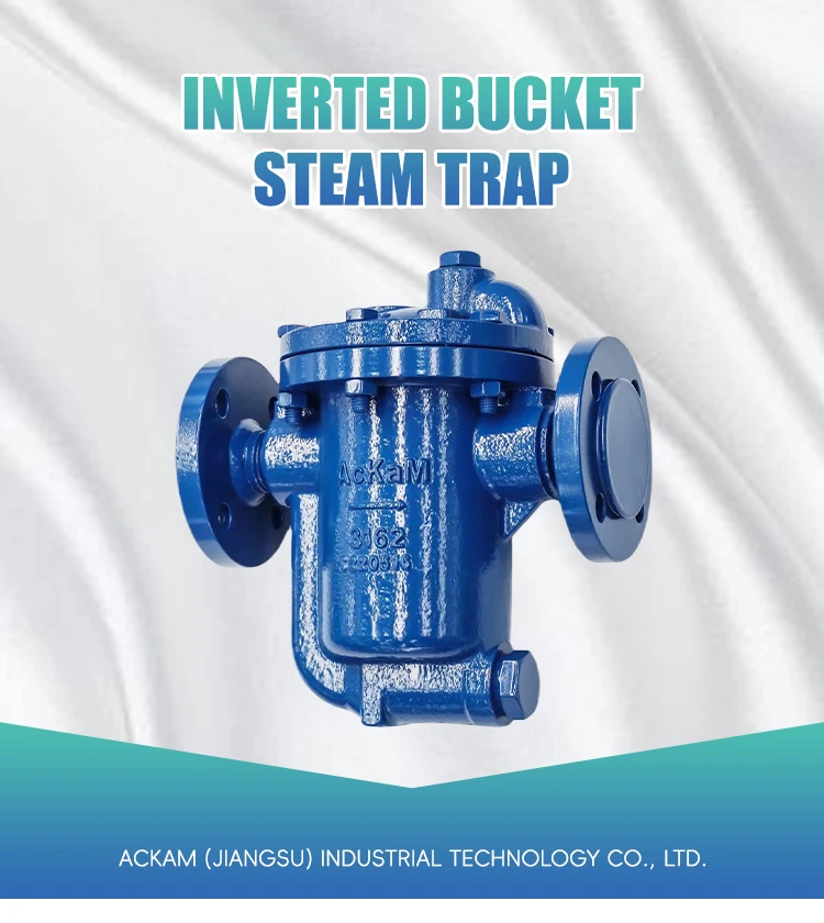 Wholesale Price DN25 AIB5411 Inverted Bucket Type Steam Trap with Flange Ends Manual Power for General Application details