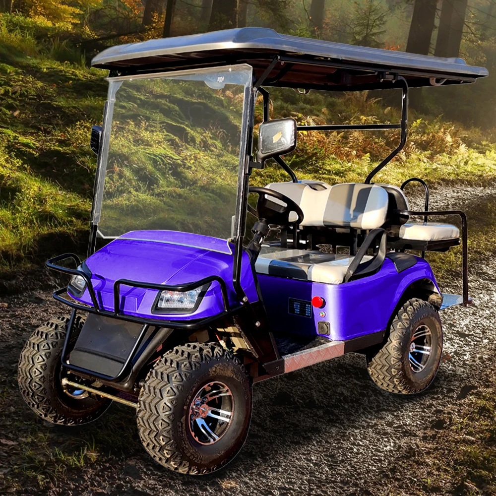 Blue Color High Speed Lithium Battery Golf Cart Golf Buggy For Sale