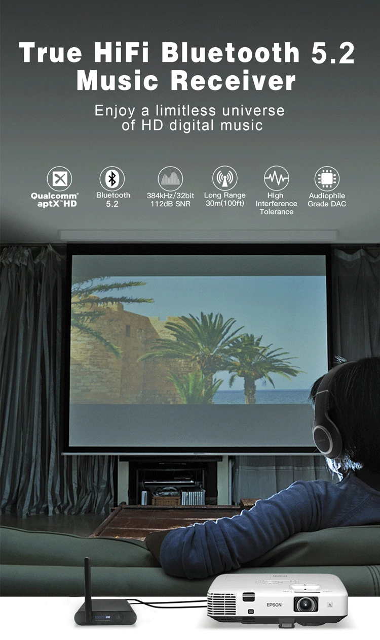 Customized Branded Qualcomm Csr8675 Bluetooth V5.2 Dac Aptx Hd Audio ...