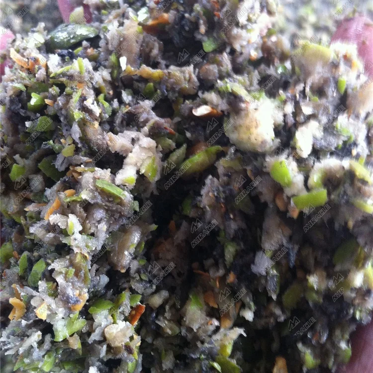 High Efficiency Olive Stuffing Machine Olive Kernel Removing Machine