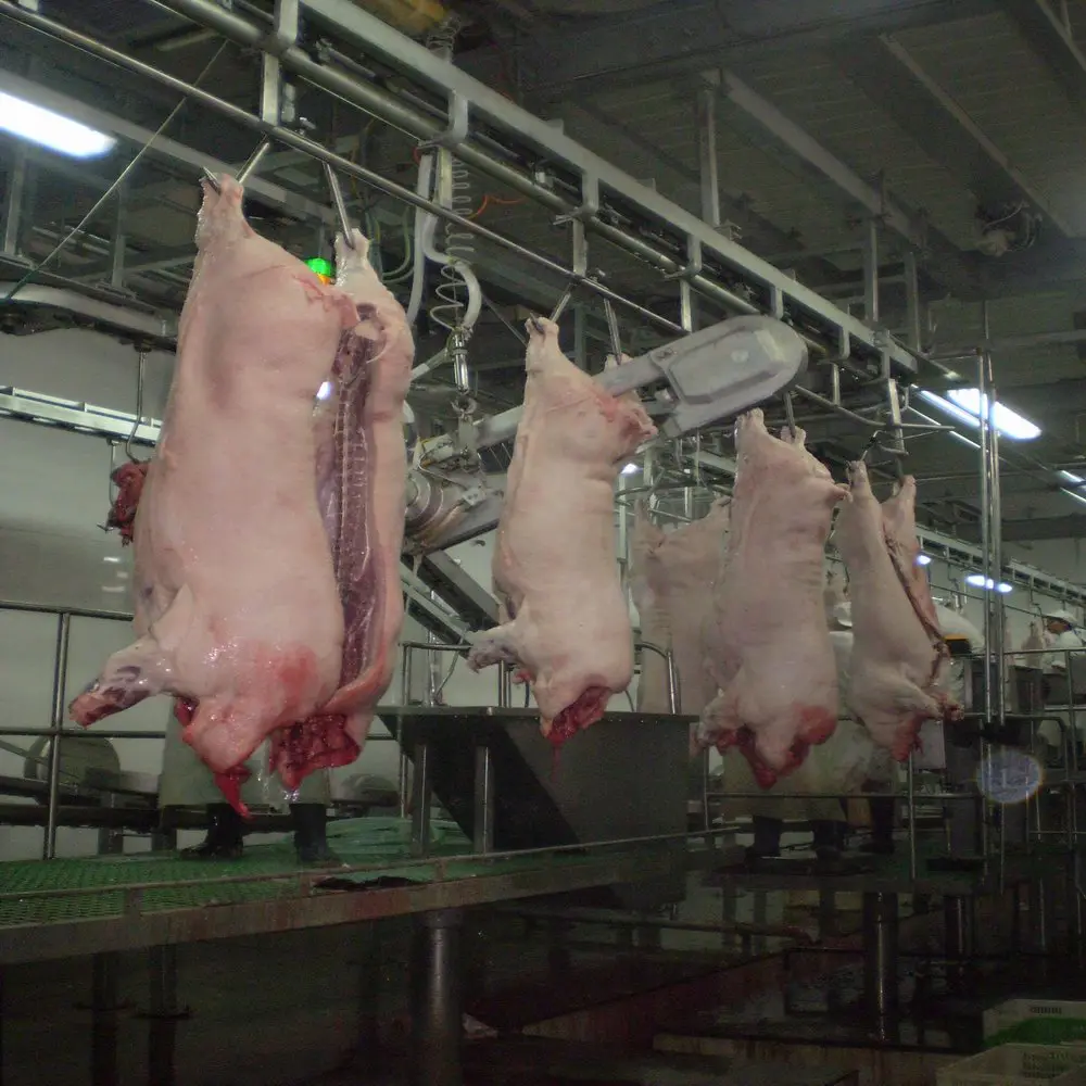 Pig slaughterhouse slaughtering machine