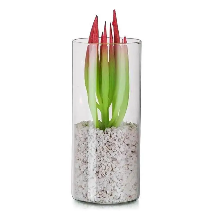 Klare Kleine Gesunde Räume Wohnvase Glasvasen Zylinder Durchsichtige Bud Vasen Glas