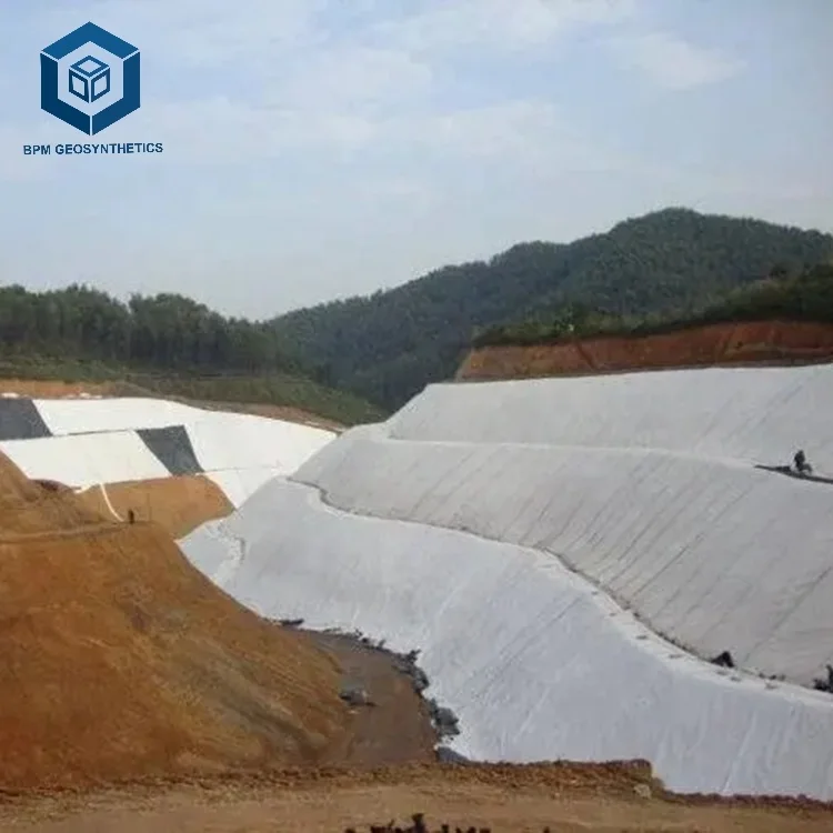 PP/PET Non-Woven Geotextile Filter Fabric for Retaining Wall