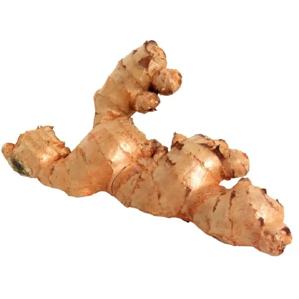 Wholesale Cheap Price Fresh Ginger Buy Blue And White Porcelain Ginger Jars Ginger Ethiopian Make Ginger Tea Powdered Ginger Product On Alibaba Com