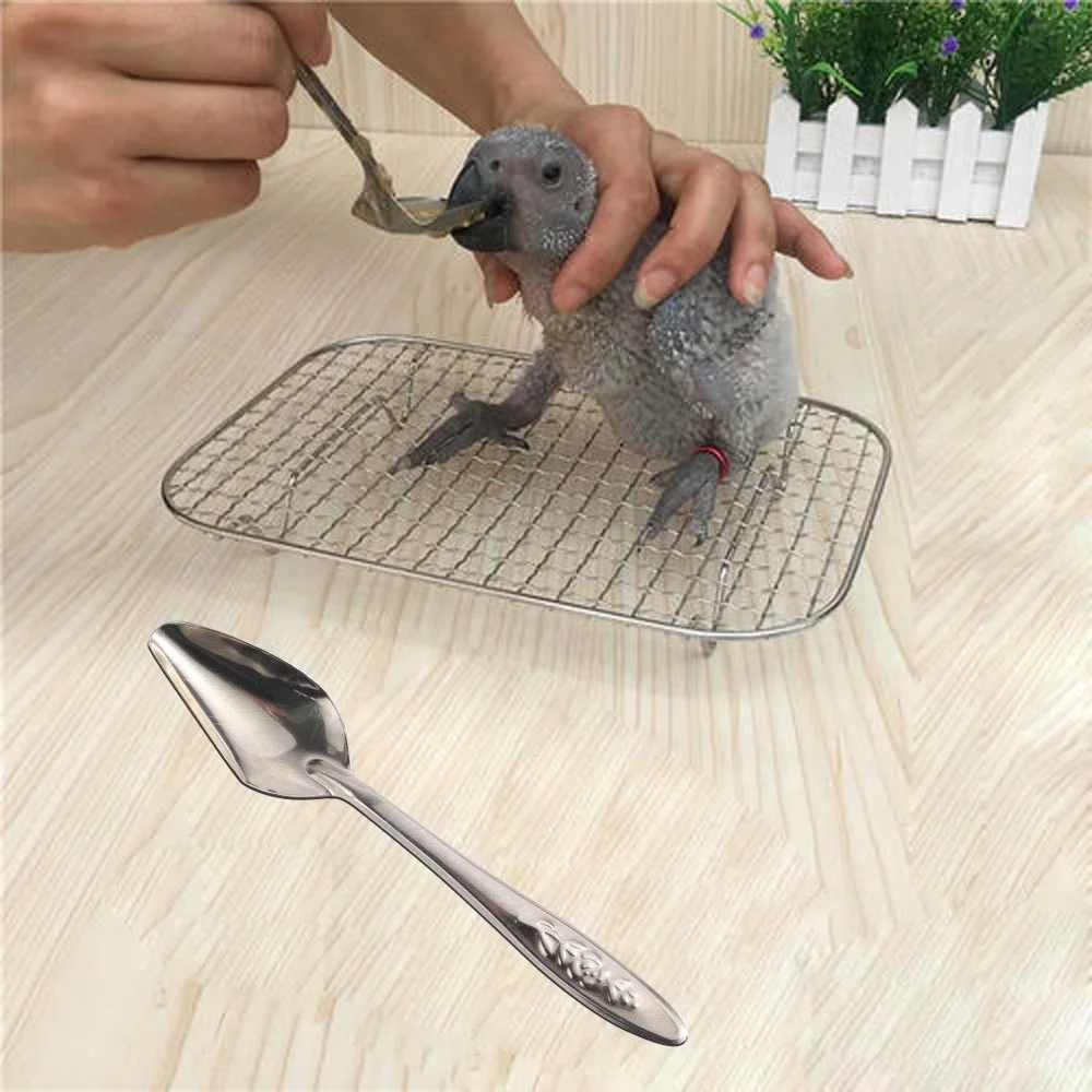 Nestling Feeding Spoon Bird Parrot Feeding Spoon Stainless Steel Water Milk Powder Feeder Spoons