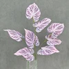 Pourpre