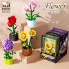 Beauty and 13034-4 box set
