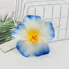 Bord bleu