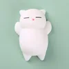 gato blanco