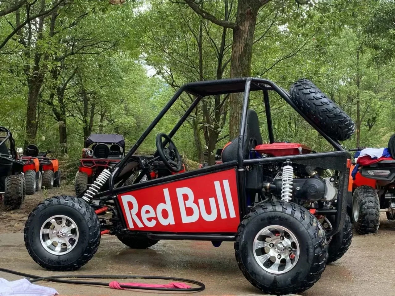 2022 Easy-go Newest Single Seat Cheap High Speed Adults off Road dune Buggy/buggy