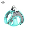 Mint green (without rope, single chest and back)