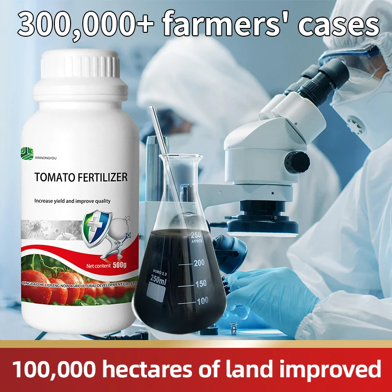 TOMATO FERTILIZER Organic Fertilizer for Tomato High-Yield Organic  Fertilizer for Tomato