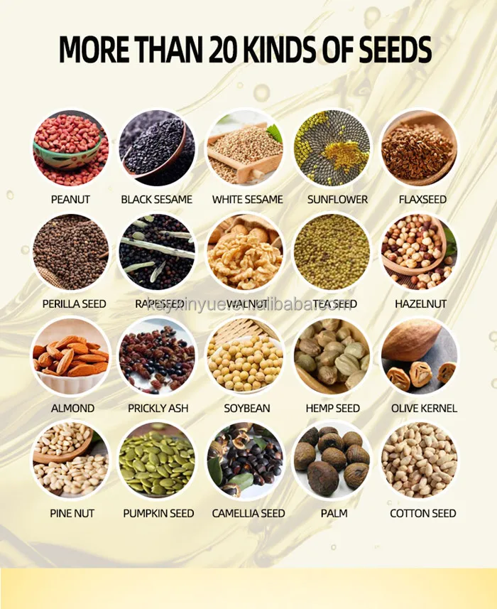 Factory Direct Sales Soybean Oil Machine Peanut Oil Press Machine Automatic Coconut Oil Expeller