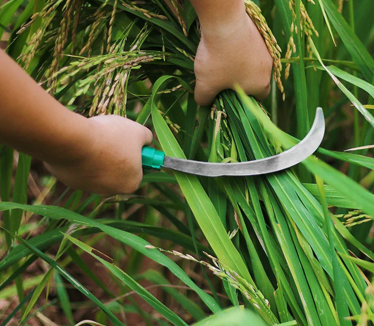 Manual Weeding Tool Weeding Hand Sickle Professional Sickle For Oil Palm Harvesting Buy