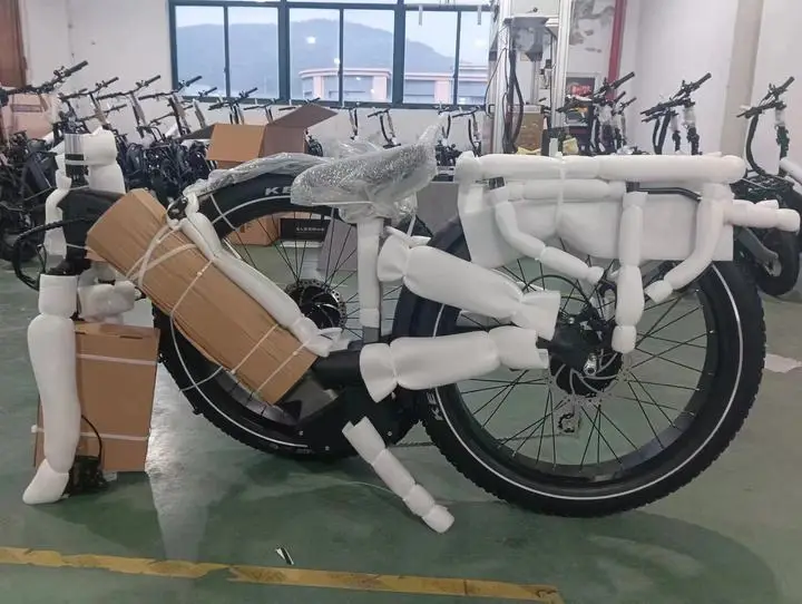 Long John Cargo E Bike Two Wheel Electric Vehicle Electric Bike Cargo